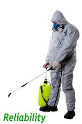 reliability fumigation